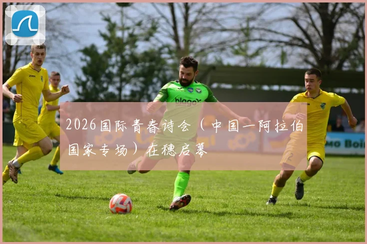2026国际青春诗会（中国一阿拉伯国家专场）在穗启幕