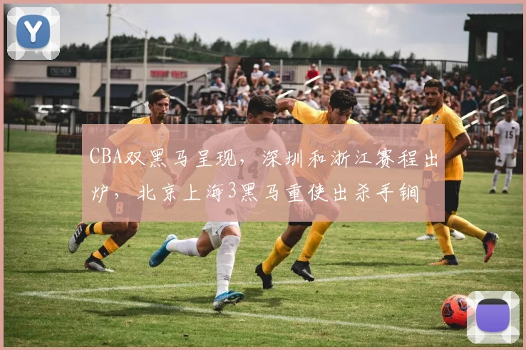 CBA双黑马呈现，深圳和浙江赛程出炉，北京上海3黑马重使出杀手锏