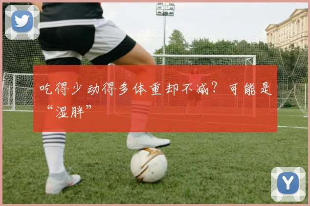 吃得少动得多体重却不减？可能是“湿胖”